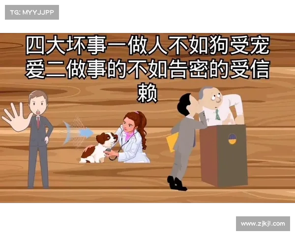 白岩松大胆批评:中国社会三大扯蛋、四大怪事、五大谎言,深度剖析背后的真相 白岩松大胆批评:中国社会三大扯蛋、四大怪事、五大谎言,深度剖析背后的真相